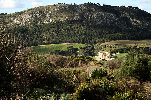 Read more about the article The Ruins of Segesta
